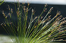 090406-8898_Getty_Villa