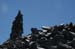060806-7324_ummit
