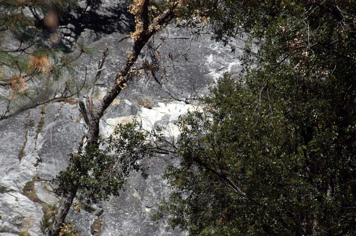 051109-3365_2004_rockfall