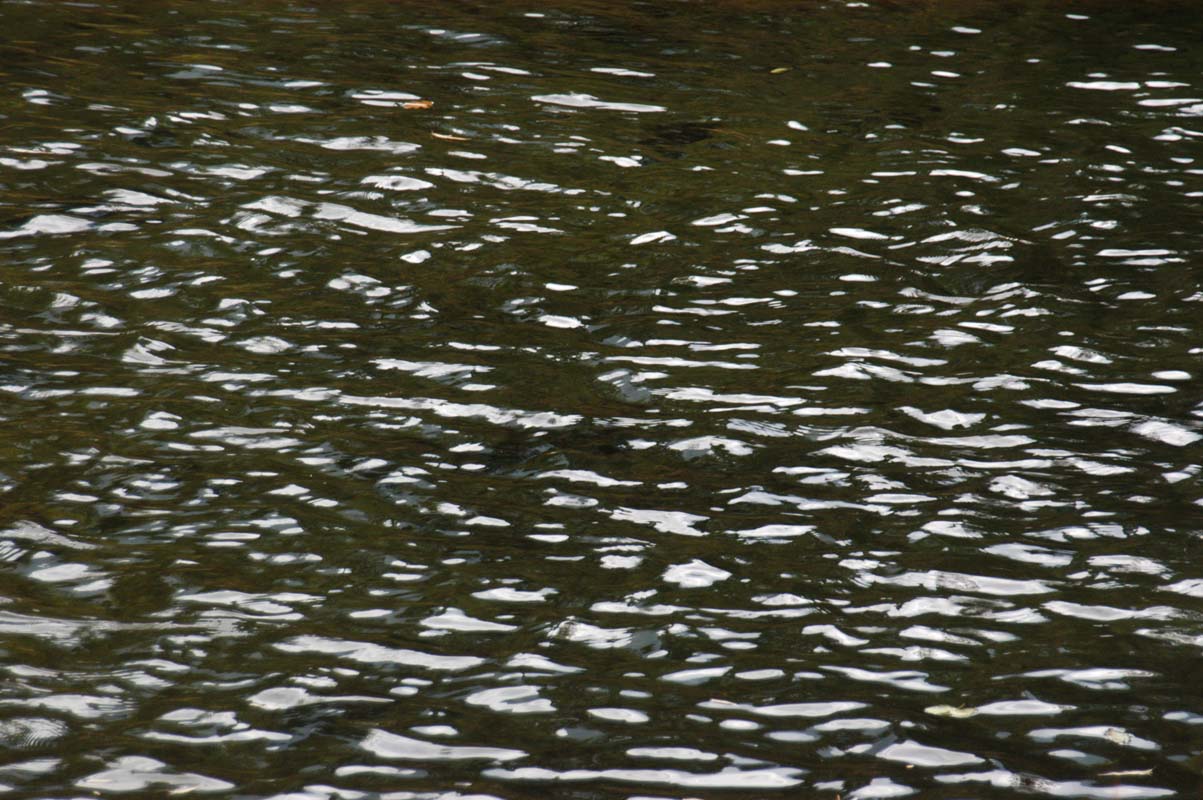051110-3687_Reflections