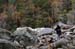 051107-2933_Yosemite_model