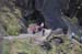 051107-2986_Mist_trail