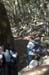 051109-3331_Deer_on_trail