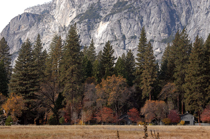 071106-3393_Ahwanee_Meadow