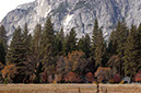 071106-3393_Ahwanee_Meadow