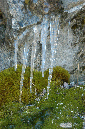 081105-7967_Icicles