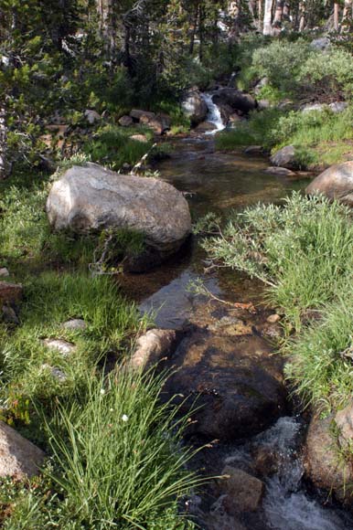 050806-0873_Young_Lakes